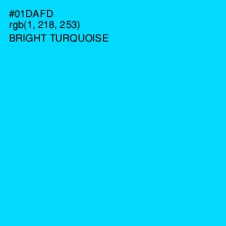 #01DAFD - Bright Turquoise Color Image